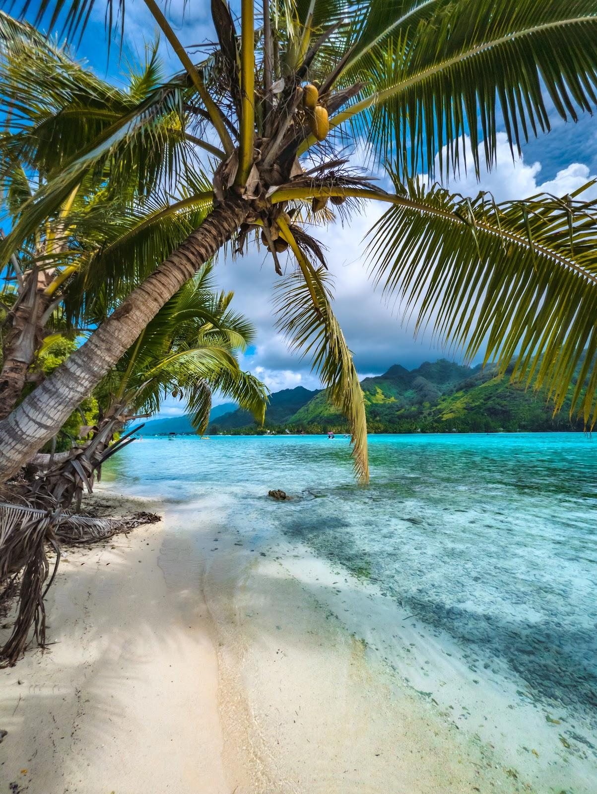 Sandee - Coco Beach Moorea