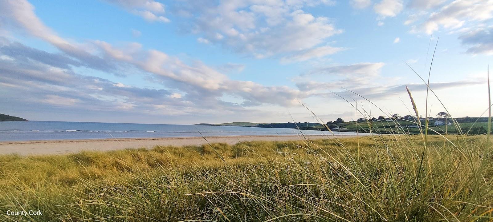 Sandee Beach Car Park Photo