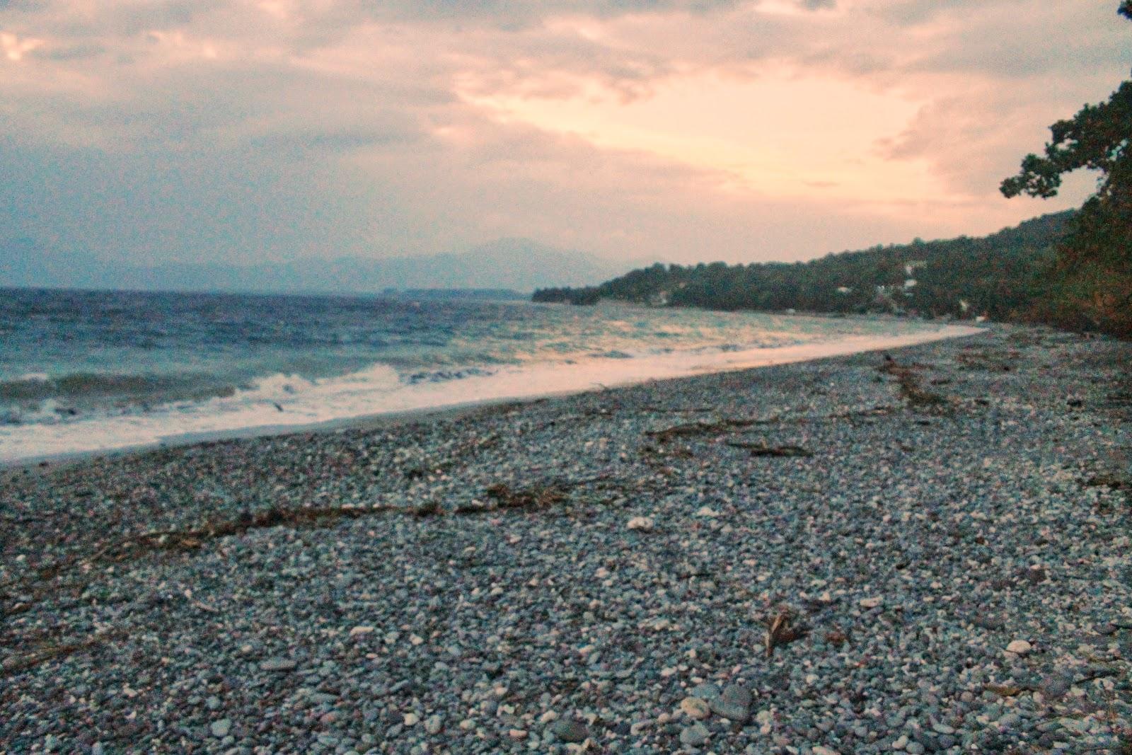 Sandee The Shore House Photo