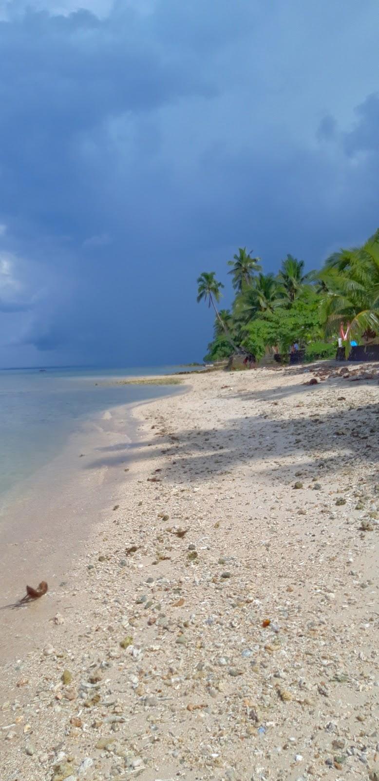 Sandee White's Beach Photo