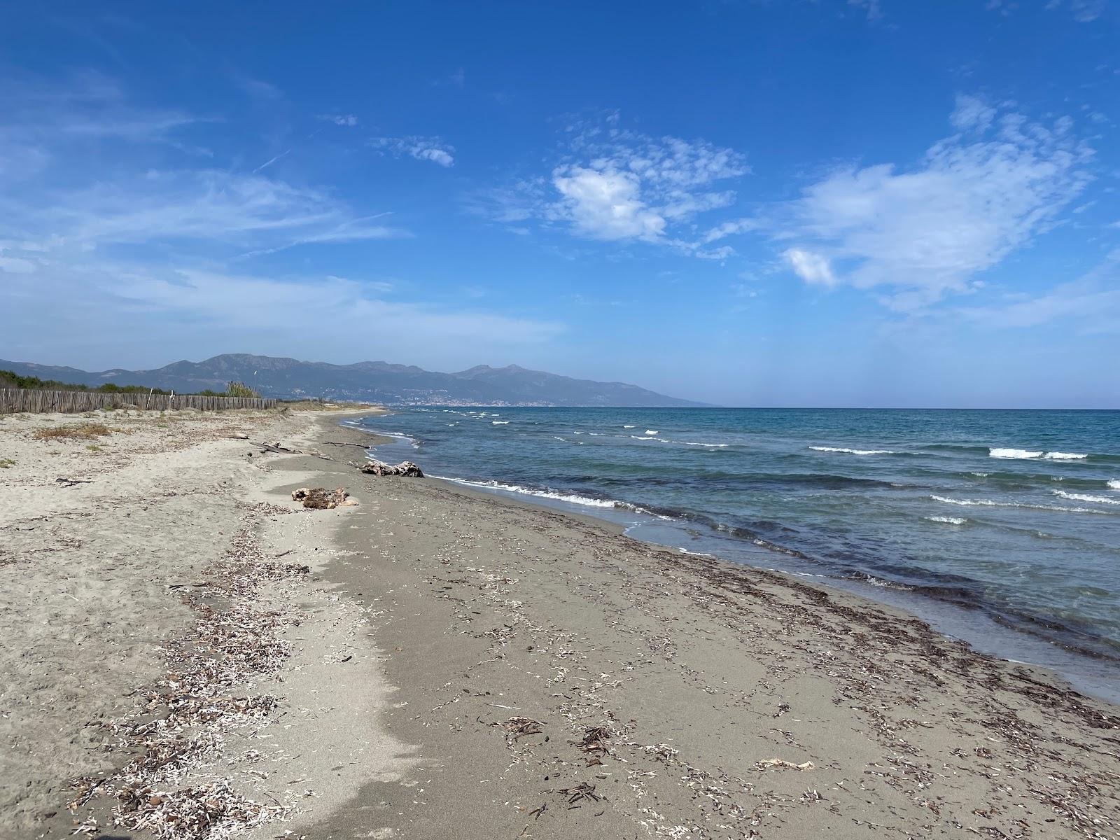 Sandee Plage De Borgo