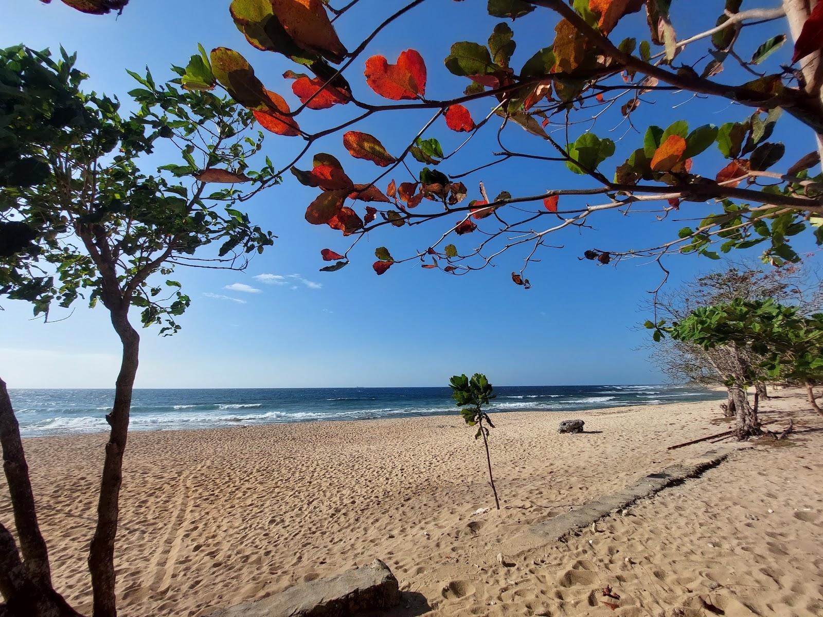 Sandee Villa Elfa Beach And Resort Photo