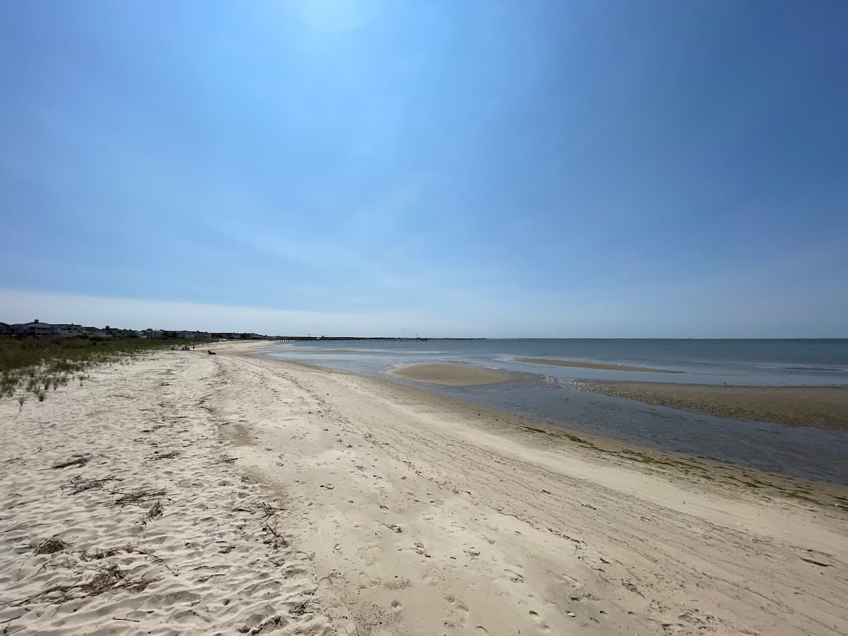 Sandee Cape Henlopen Photo