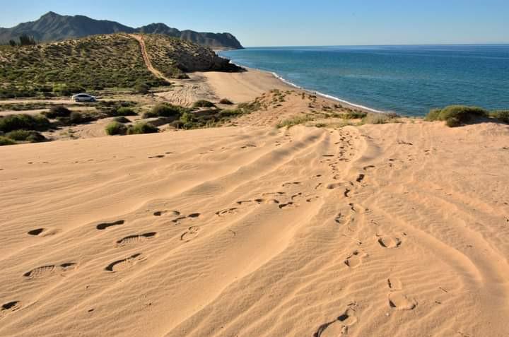 Sandee Playa Cirios