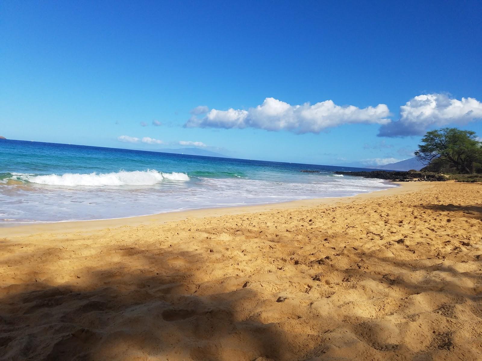 Sandee Littor Beach