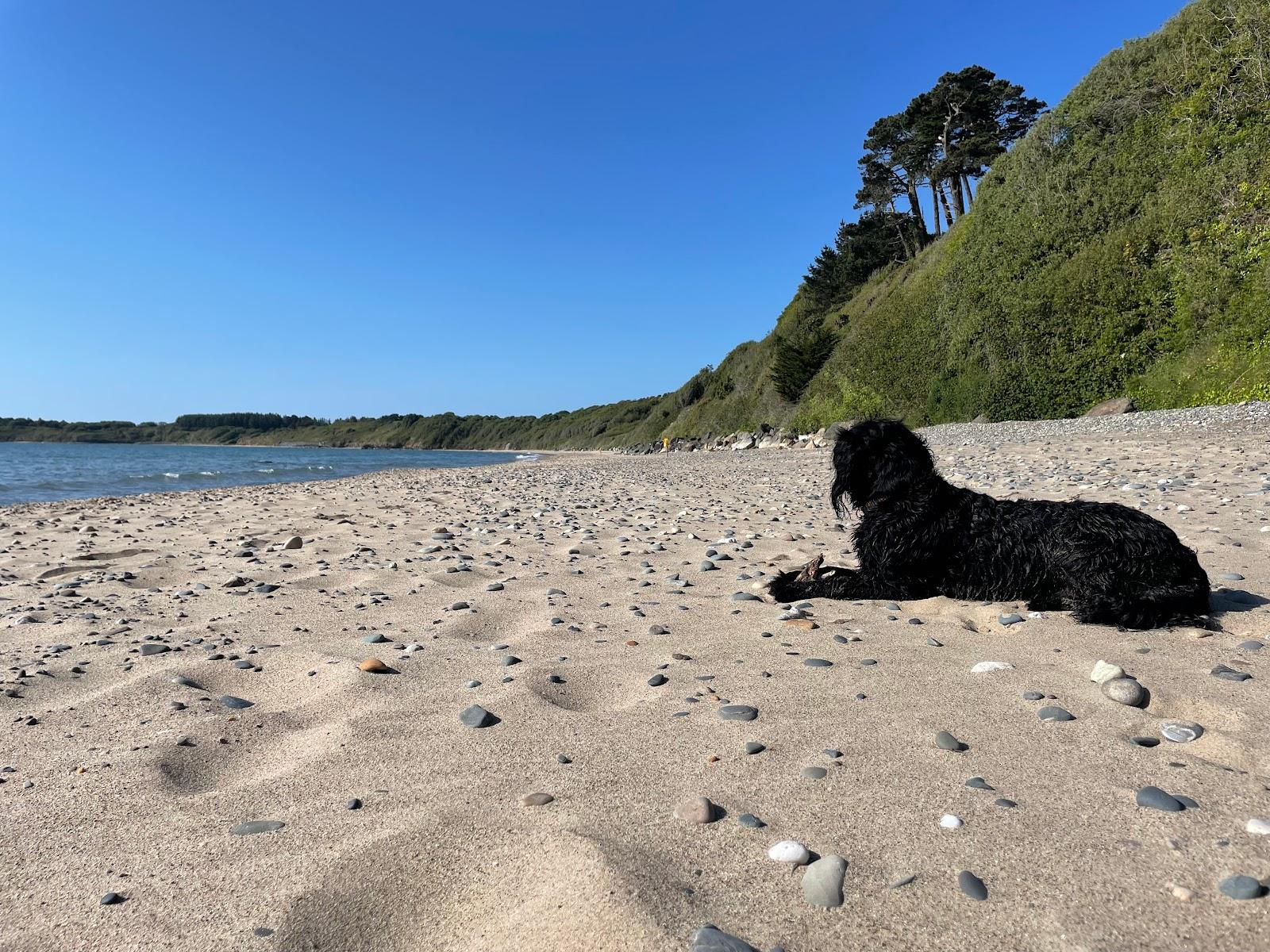 Sandee Askintinny Bay Beach Photo