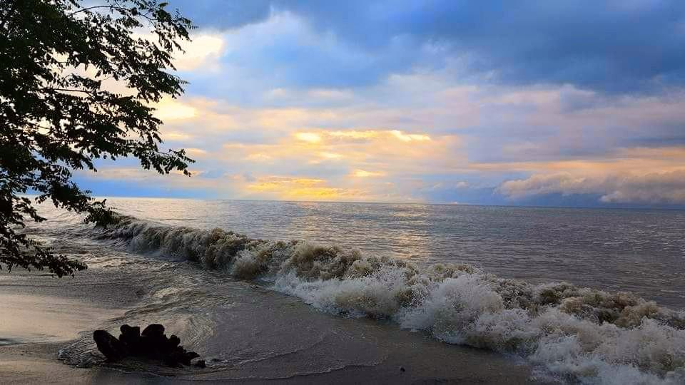 Sandee Lake Erie Community Park Photo