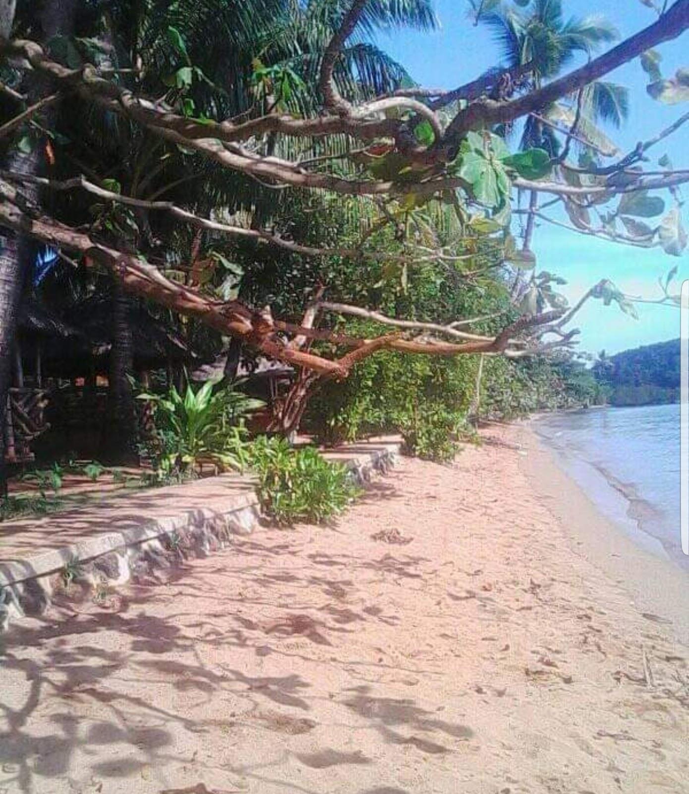 Sandee Toritz Beach