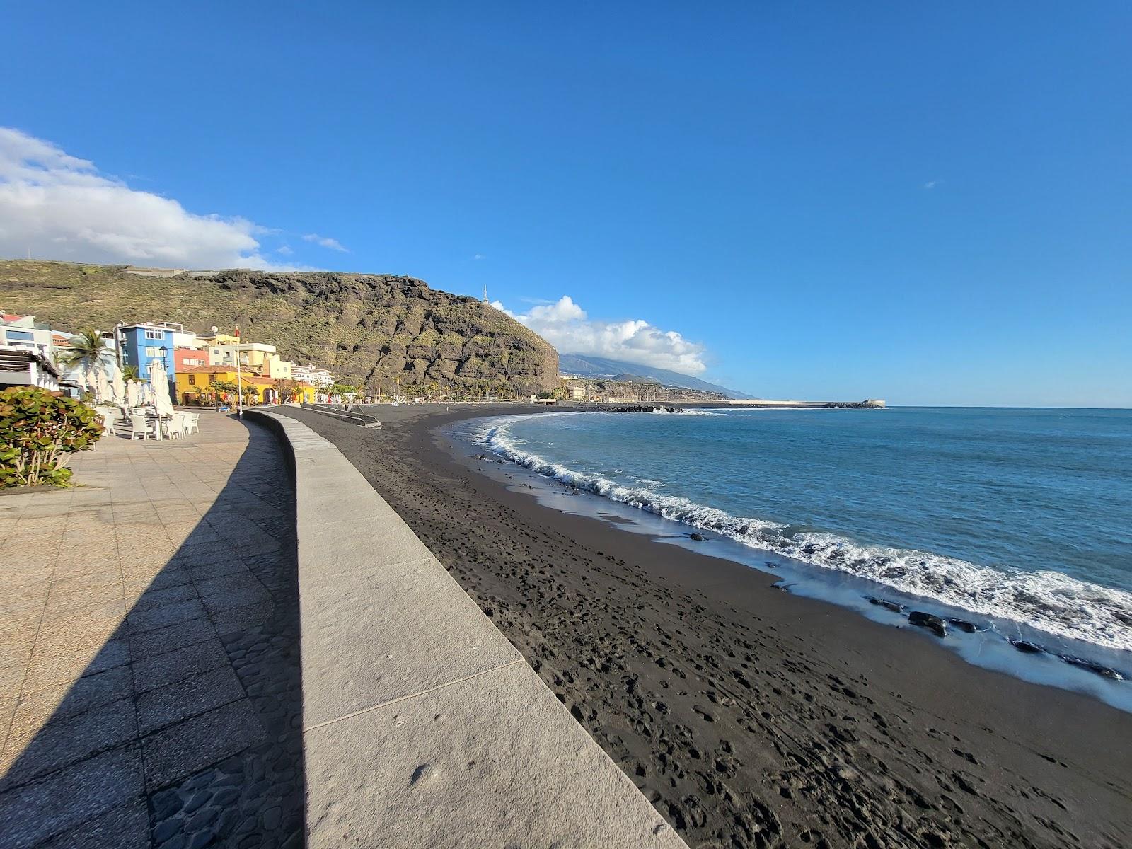 Sandee Playa Y Puerto De Tazacorte