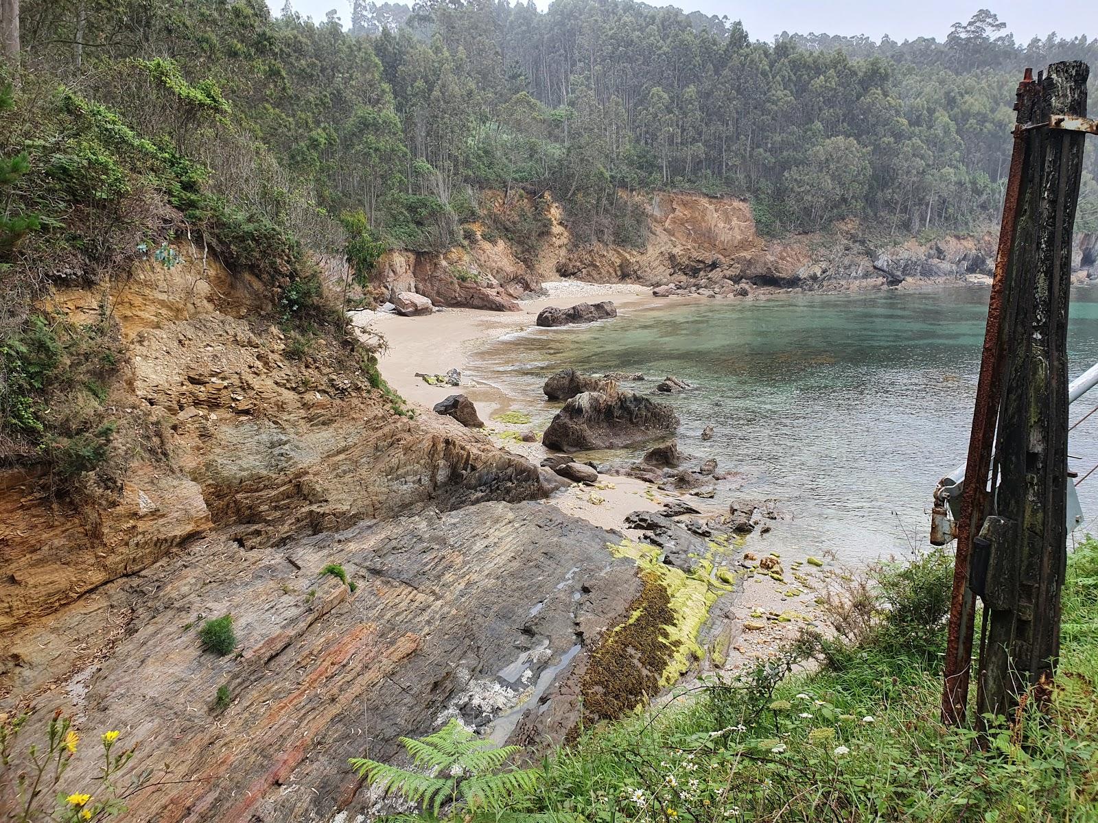 Sandee Praia De Alegrin