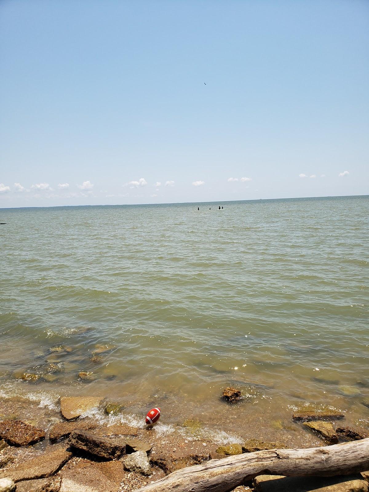 Sandee Mccollum Park