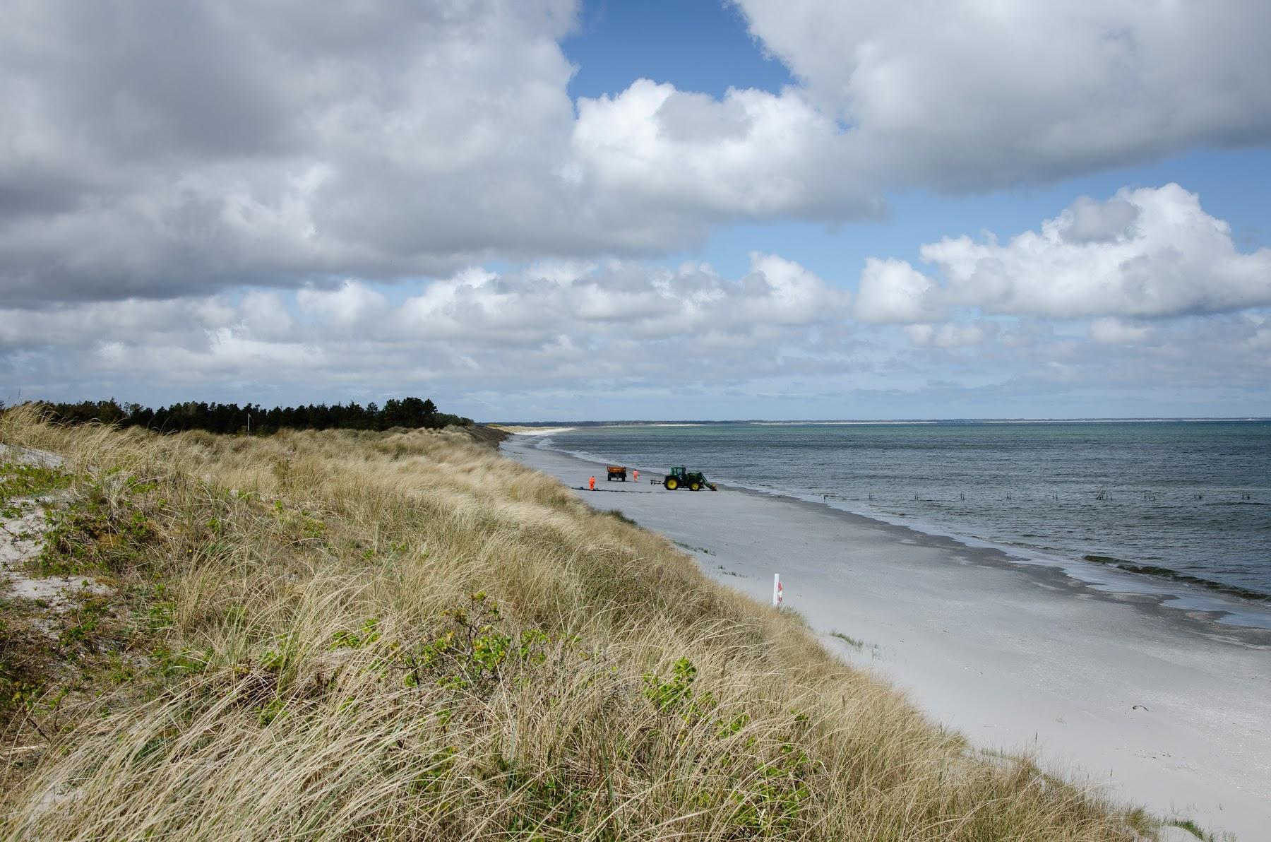 Sandee Bratten Strand
