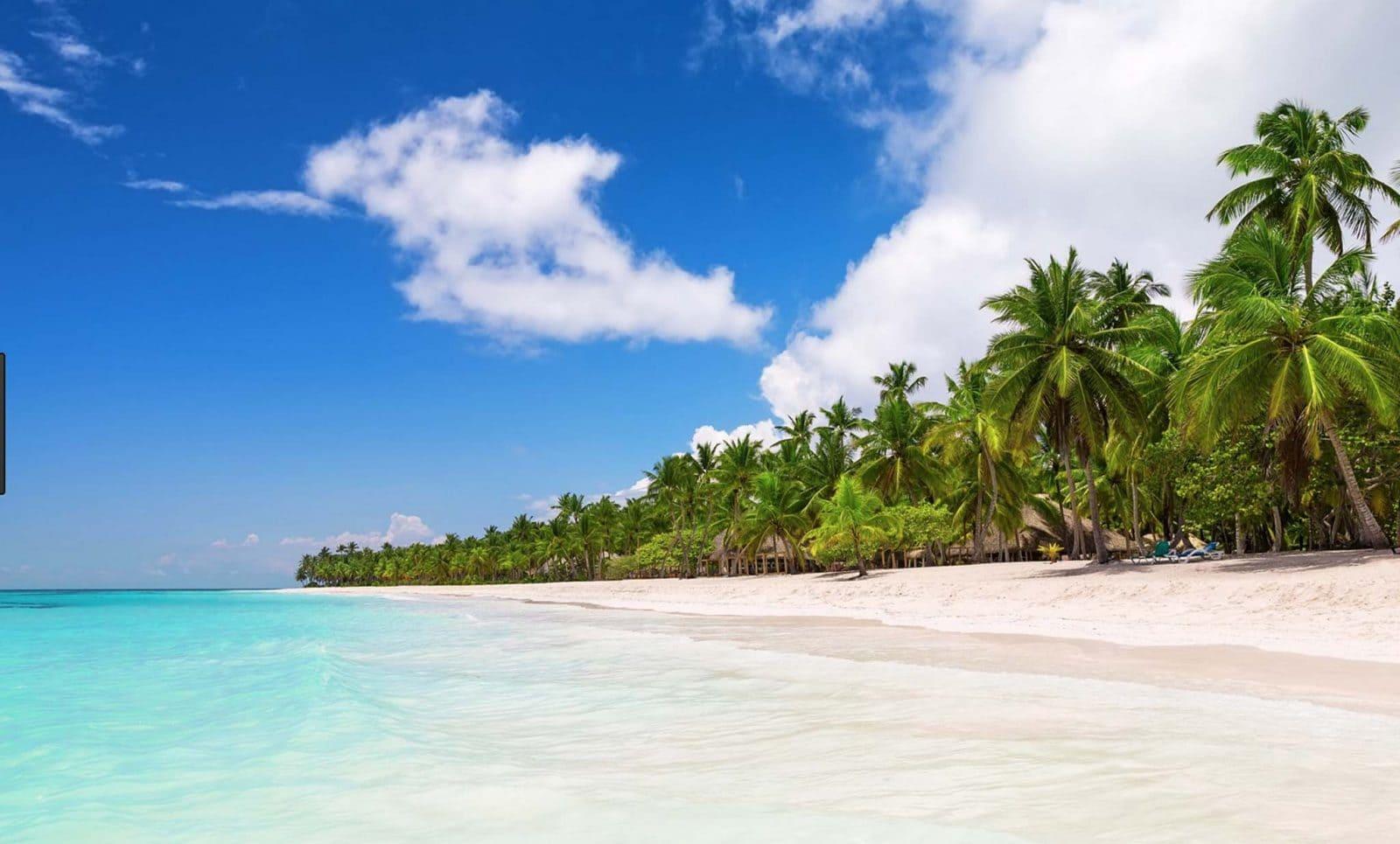 Sandee Playa Brasil