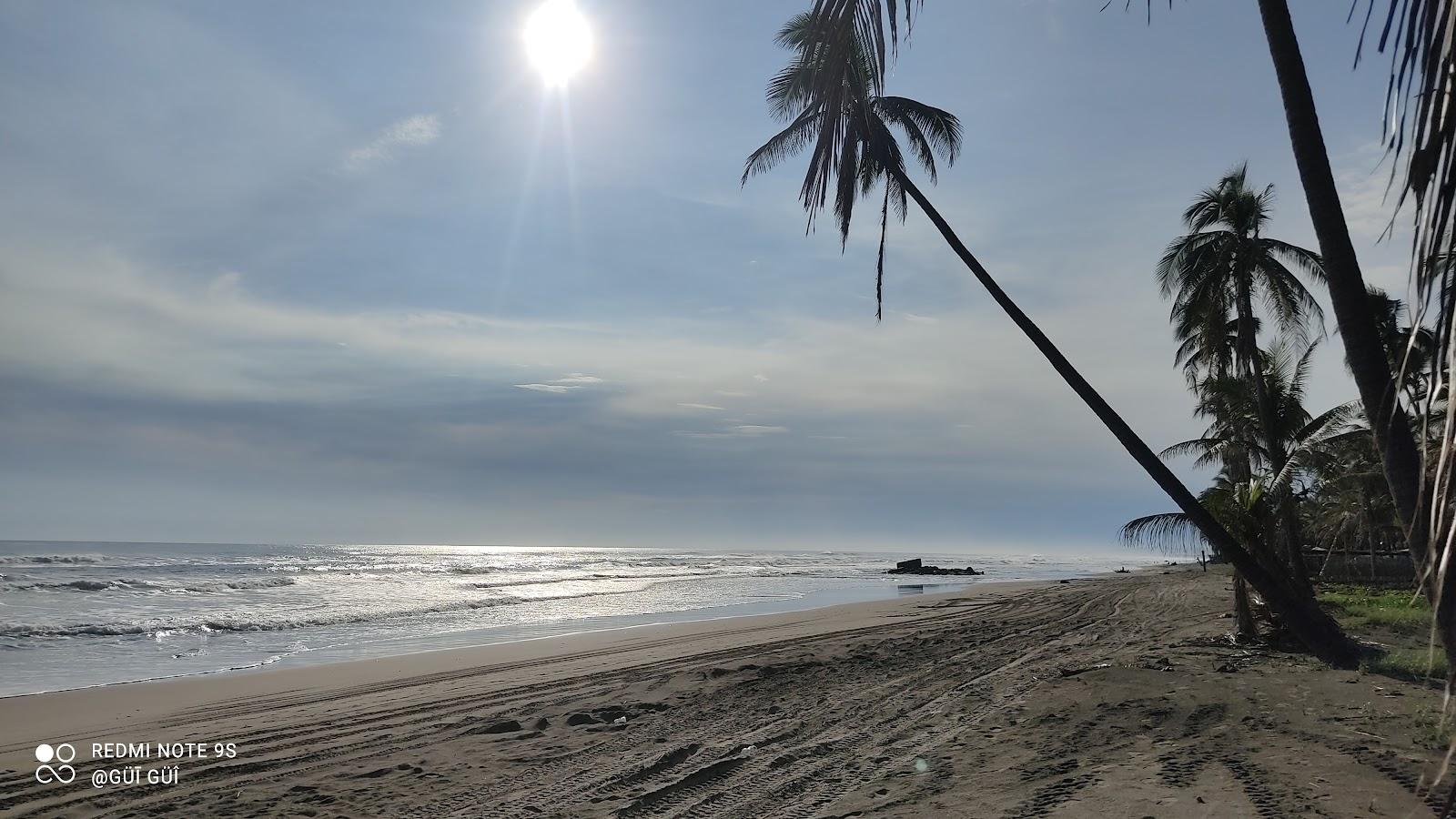 Sandee Playa Jardin