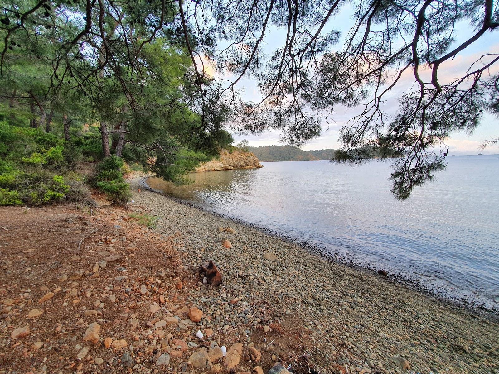 Sandee Gocek, Osmanaga Koyu Beach Photo