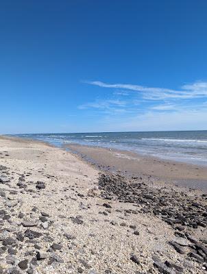 Sandee - High Island Beach