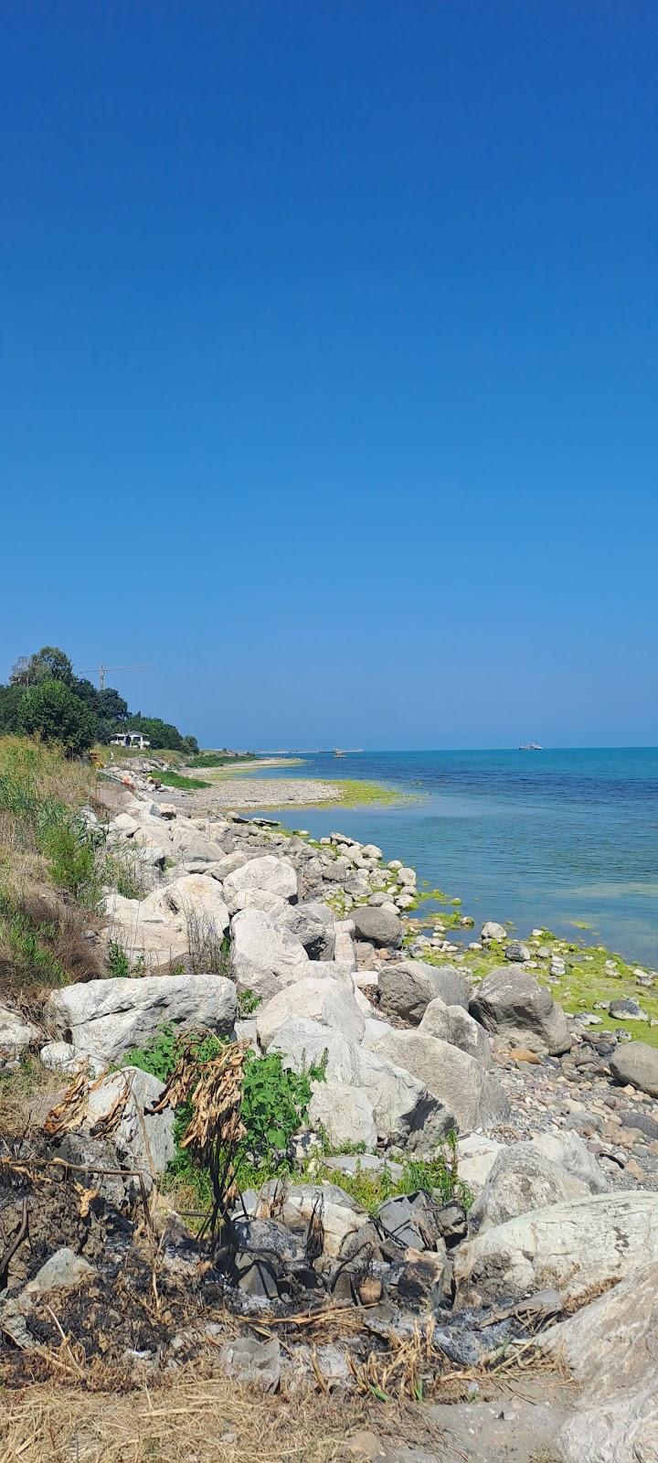 Sandee Alder Beach Complex