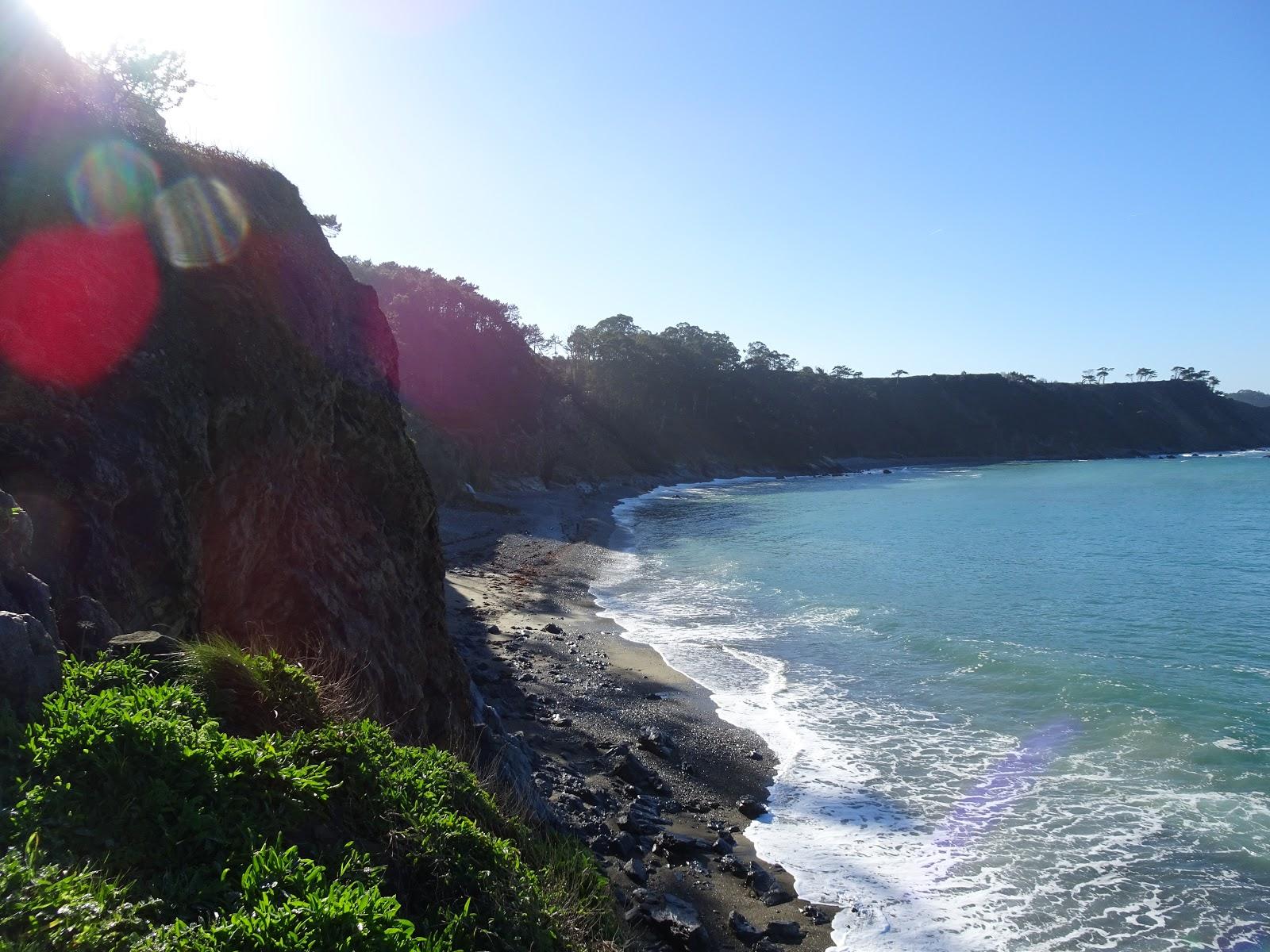 Sandee Playa De Torbas