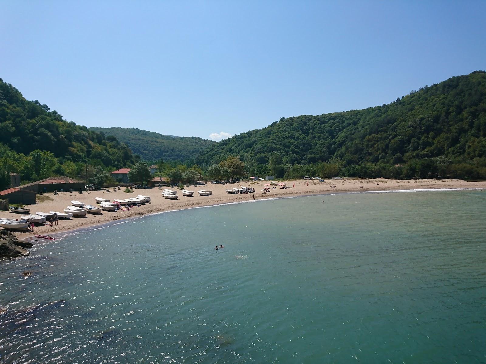 Sandee Gockundemirci Koyu Plajı
