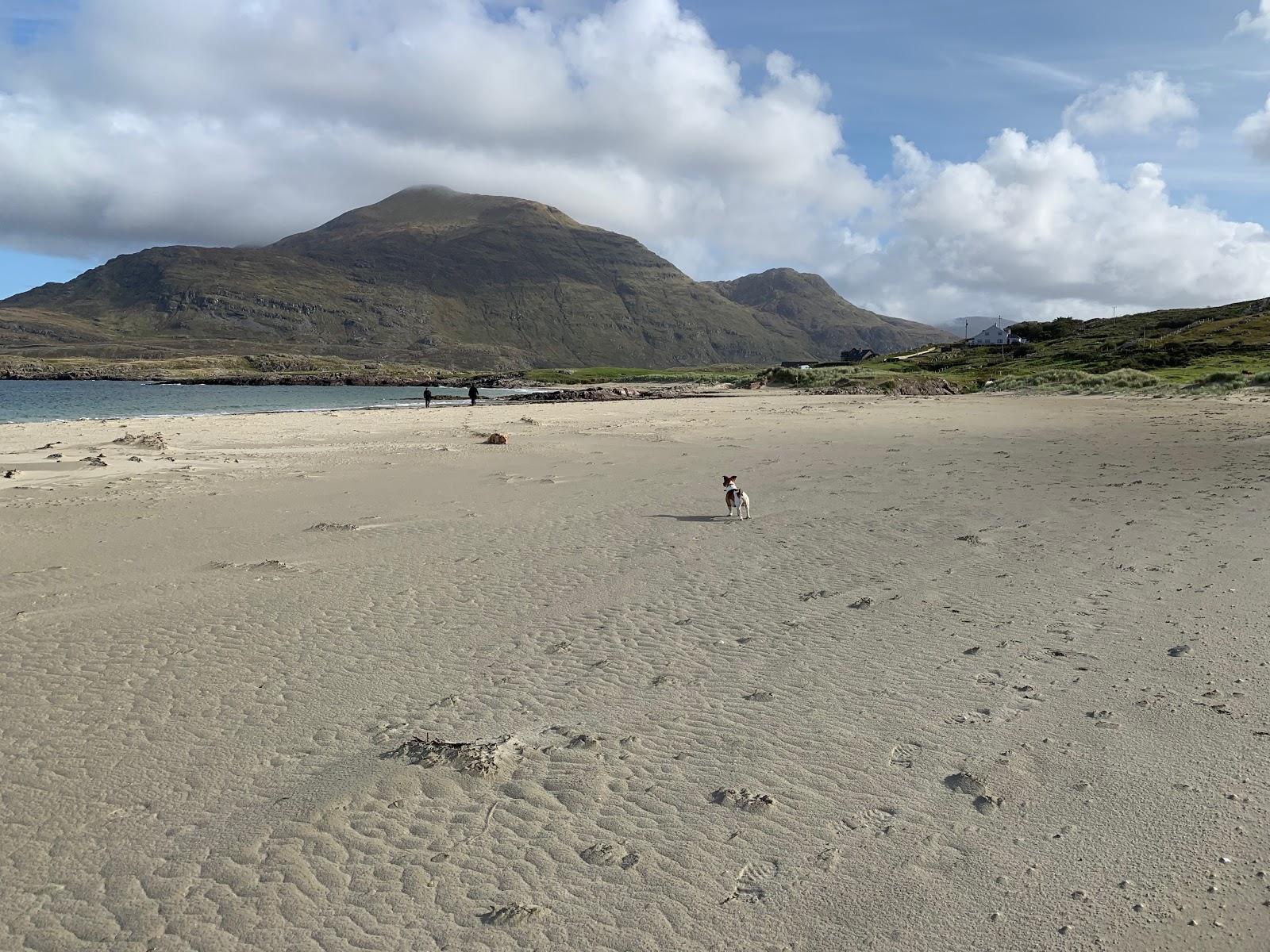 Sandee Glassillaun Bay Beach Photo