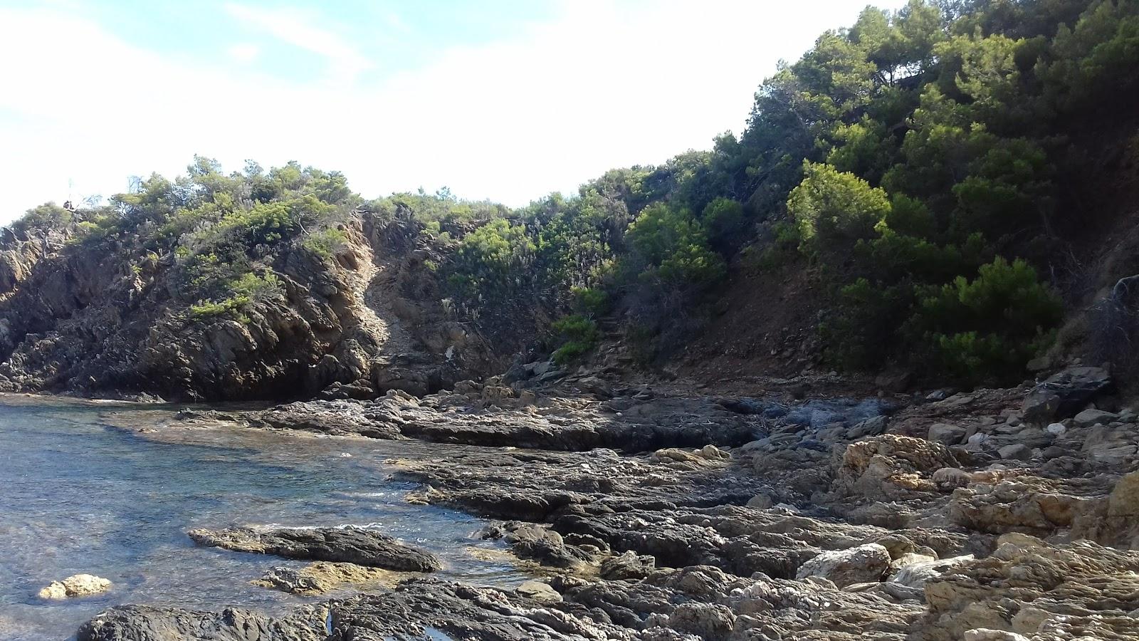 Sandee Plage Du Pinet Photo