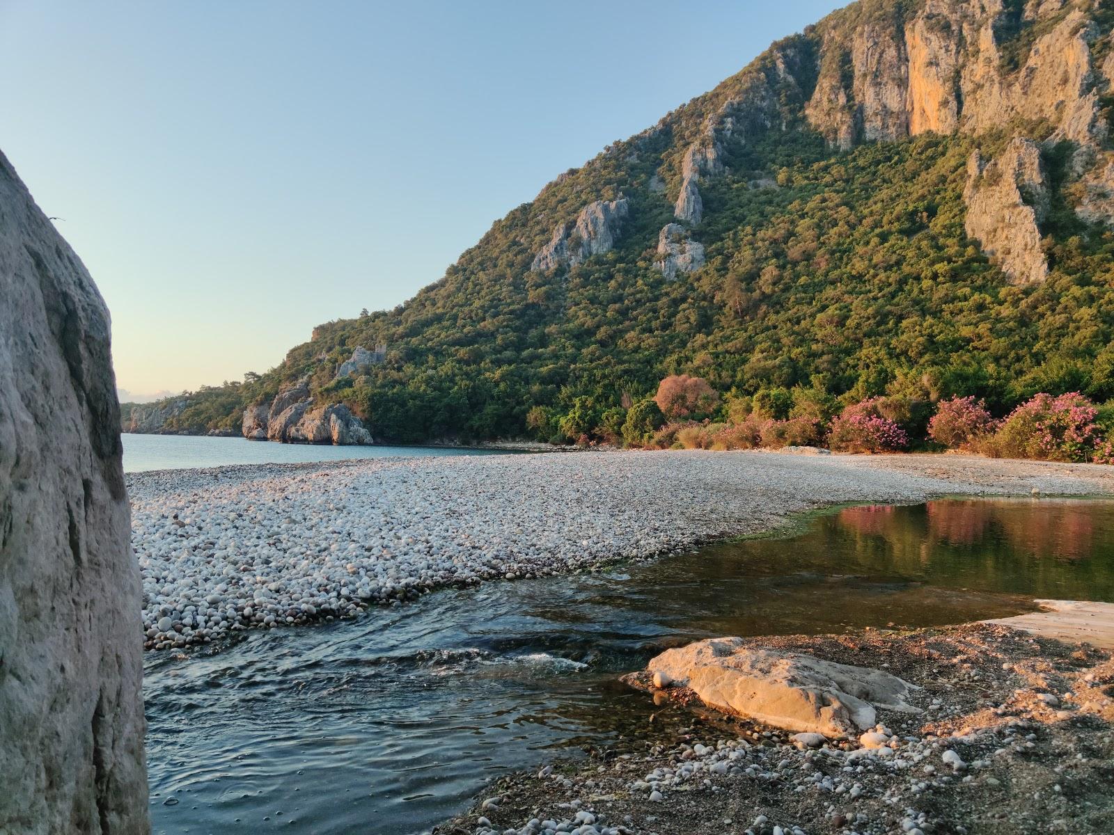 Sandee Olympos
