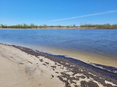 Sandee - Beaconia Beach