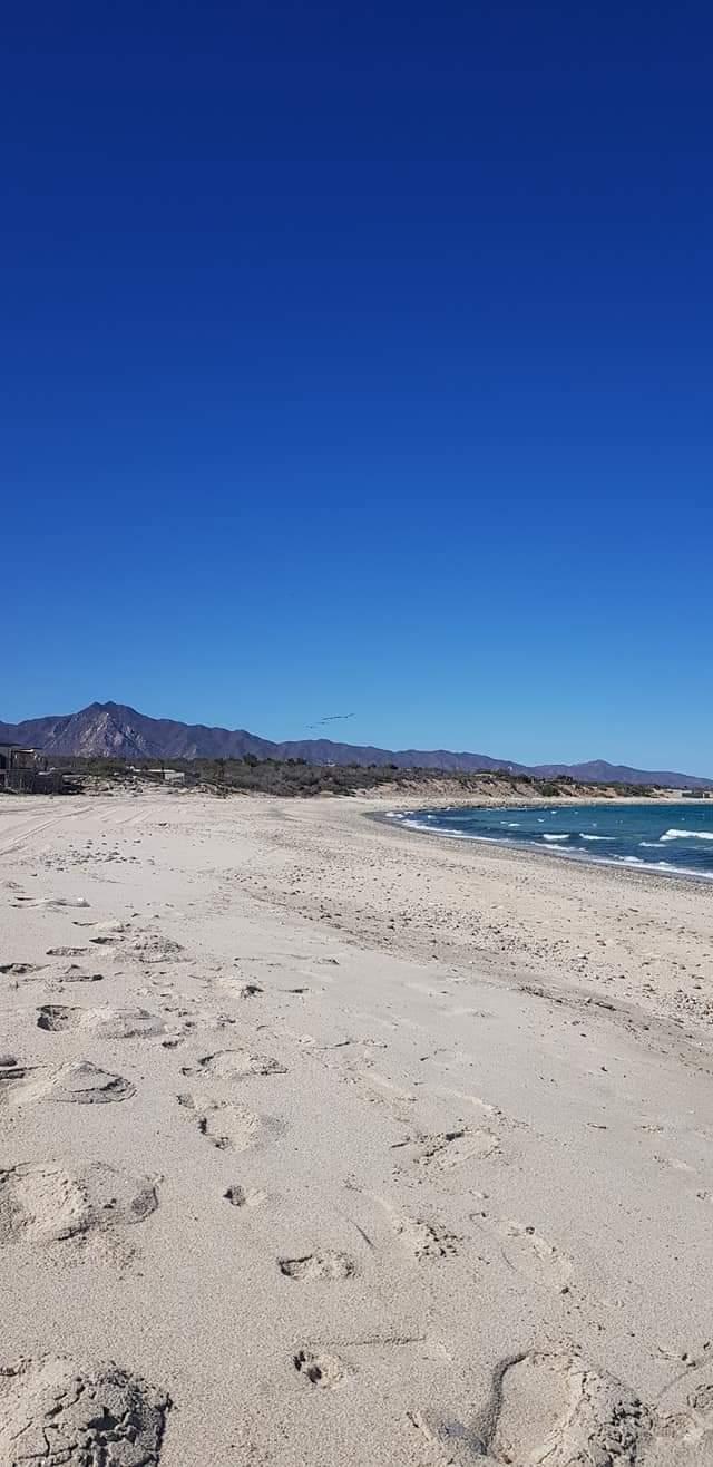 Sandee El Cardonal Reef