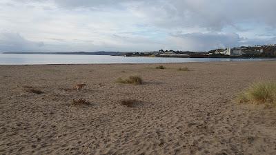 Sandee - St Austell Bay