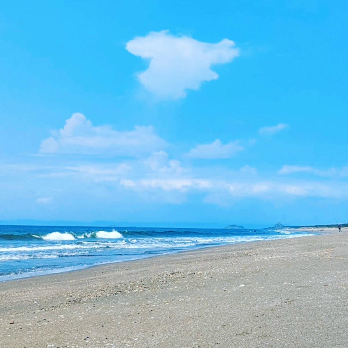 Sandee Futtsu Beach Resort