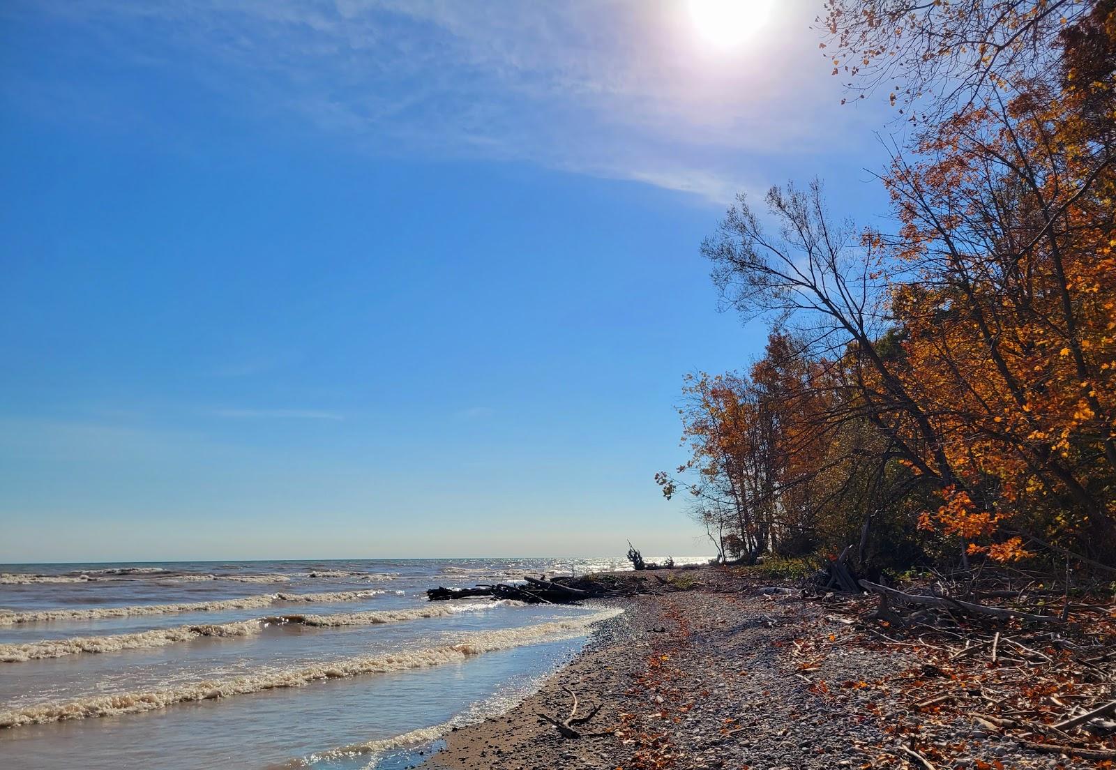 Sandee Duttona Beach Photo