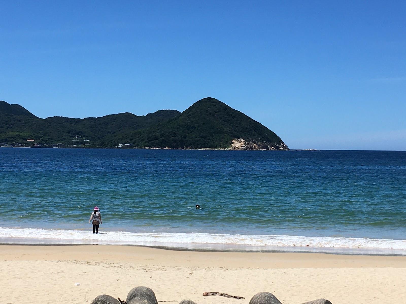 Sandee Oaza Waitaushiroji Beach