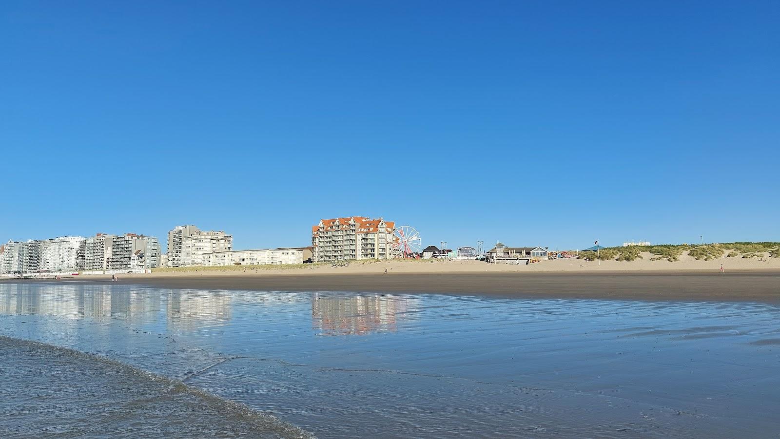 Sandee St Laureins Dunes Photo