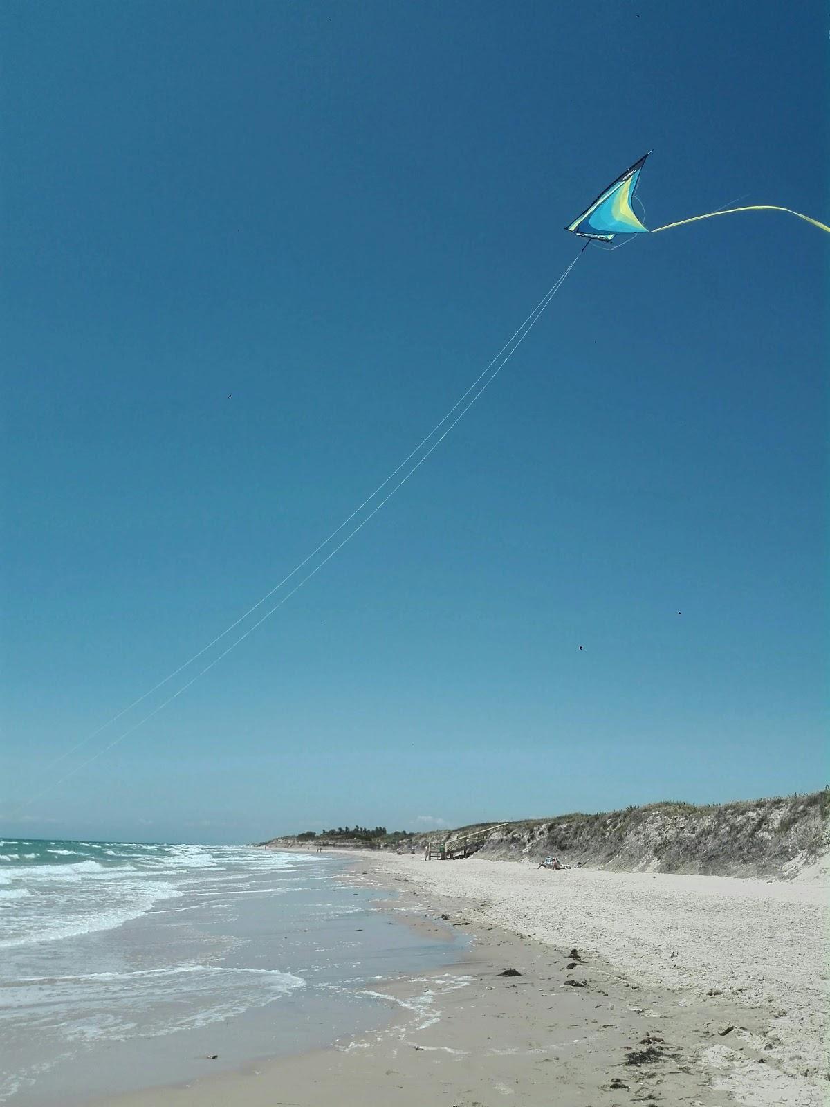 Sandee La Ballena Beach Photo