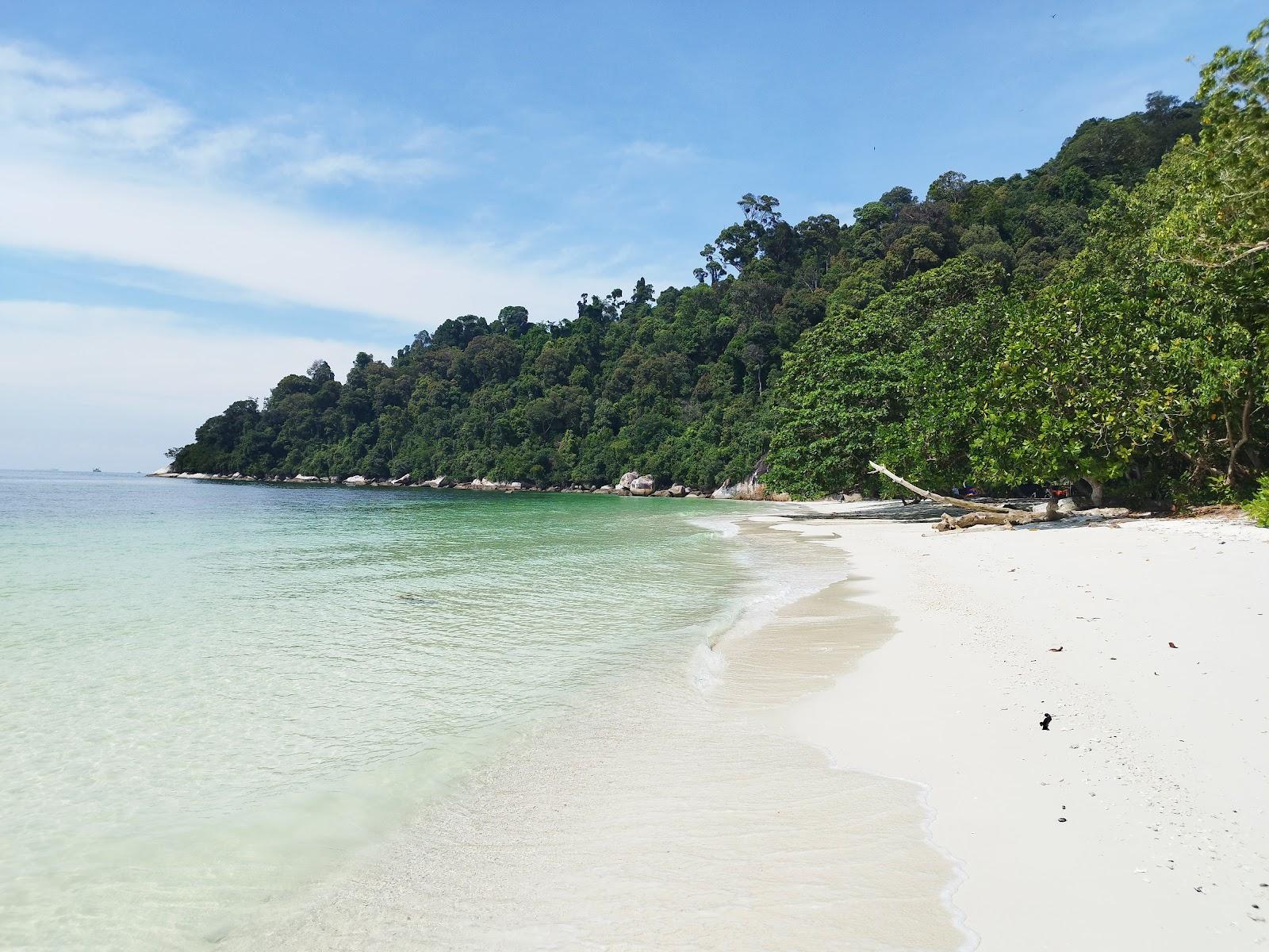 Sandee Pantai Teluk Segadas