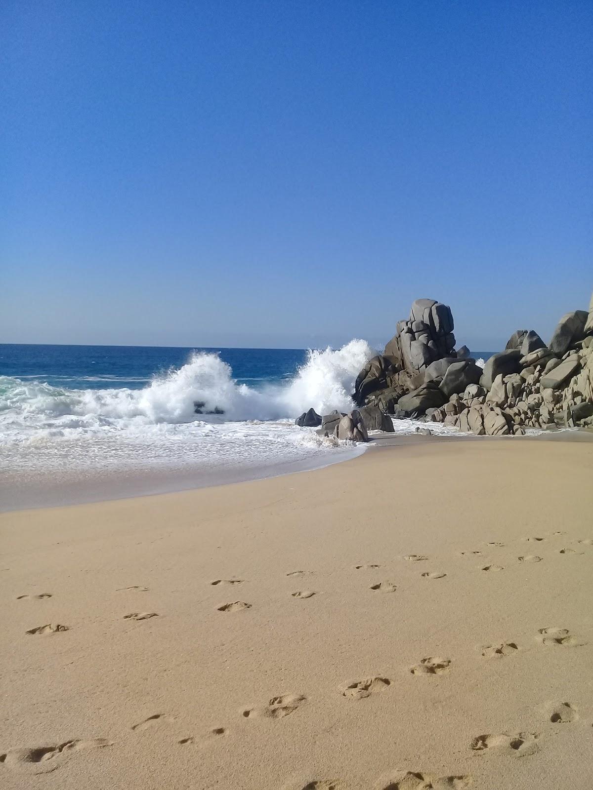 Sandee - Desaladora Playa Los Cabos