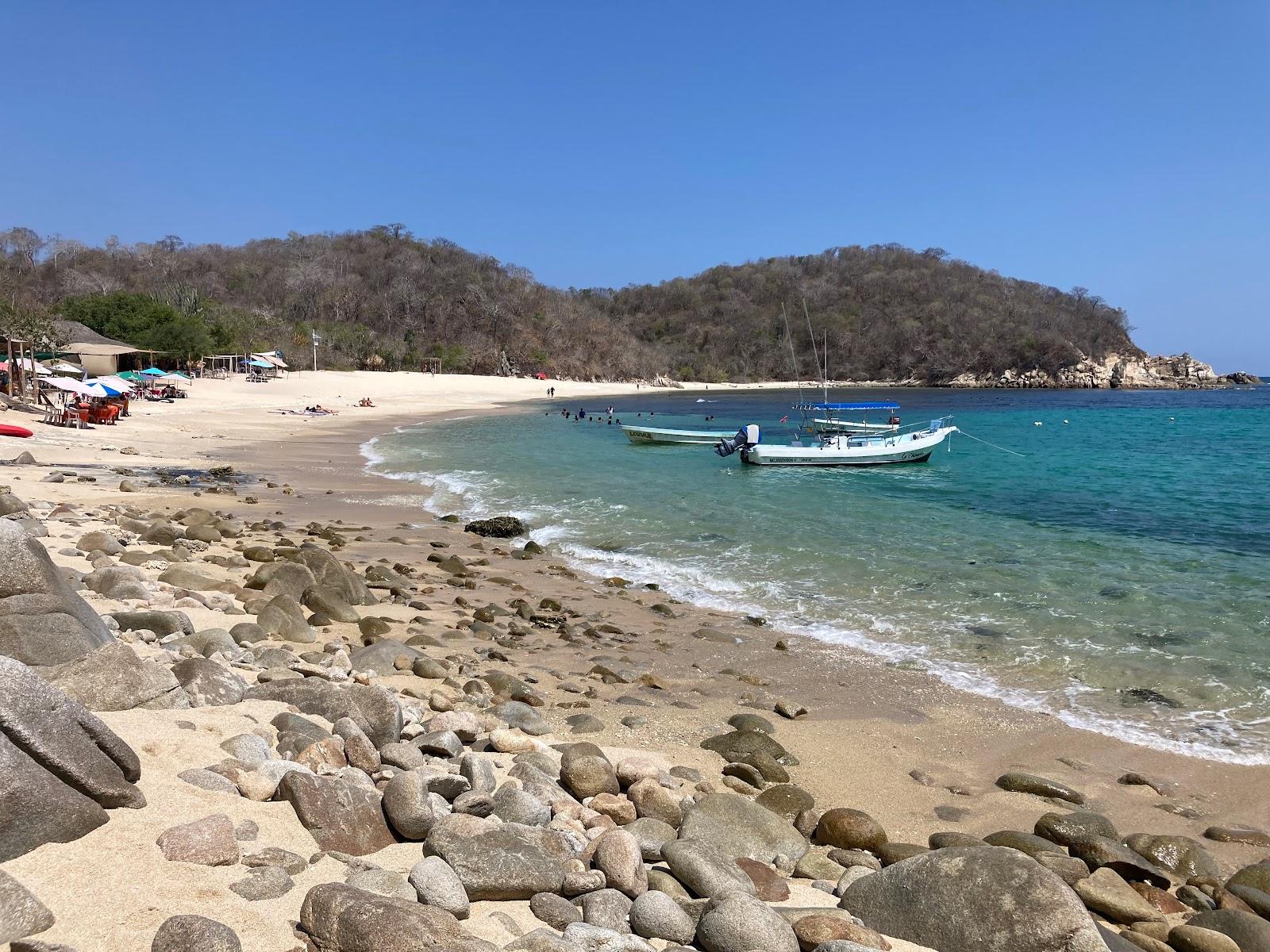 Sandee Playa Organo