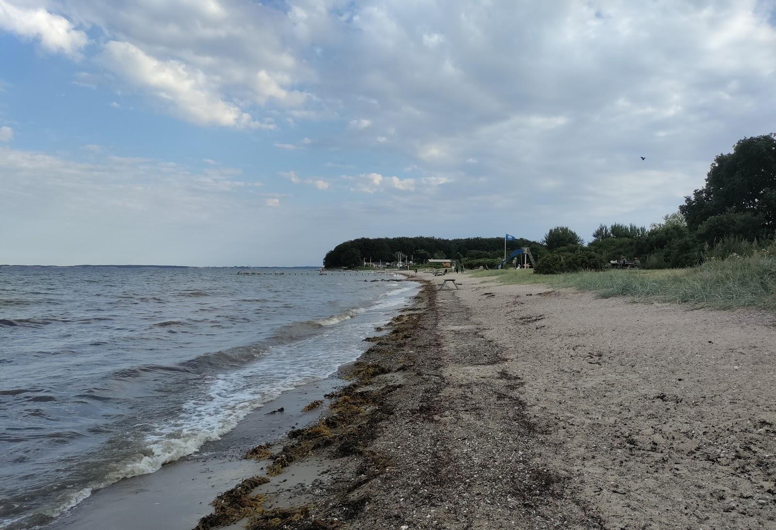 Sandee Beautiful Beach