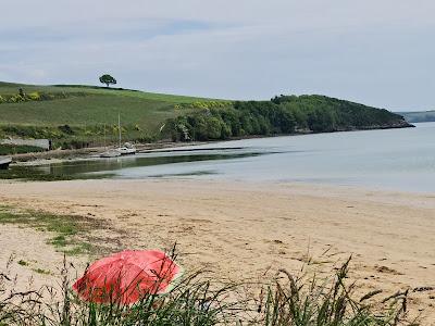 Sandee - Plage Du Vallion