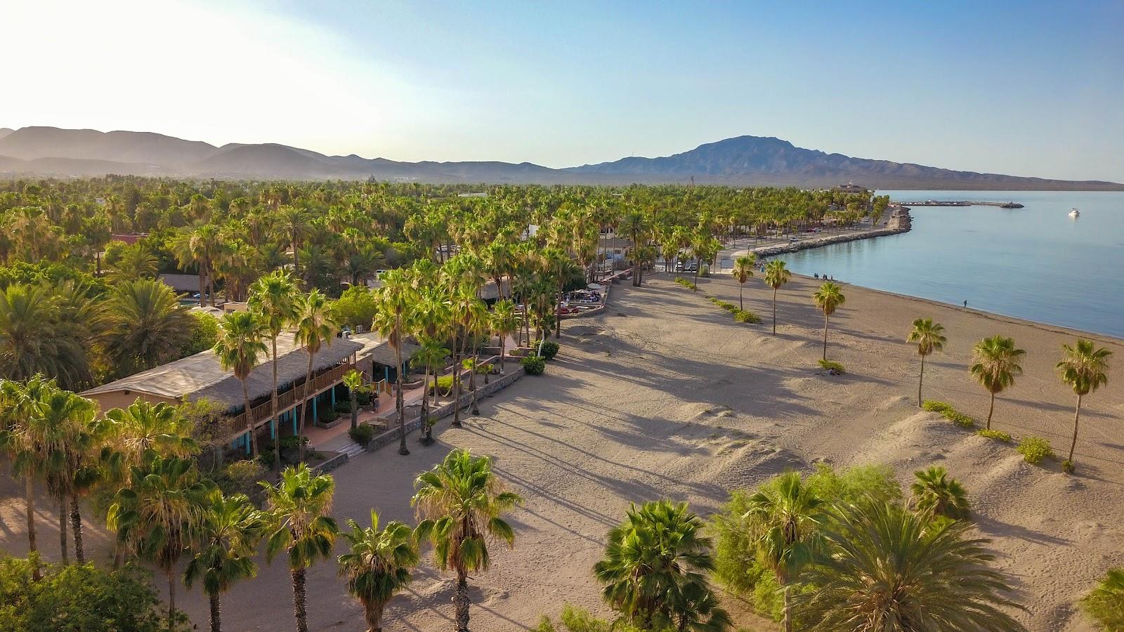 Sandee Hotel Oasis