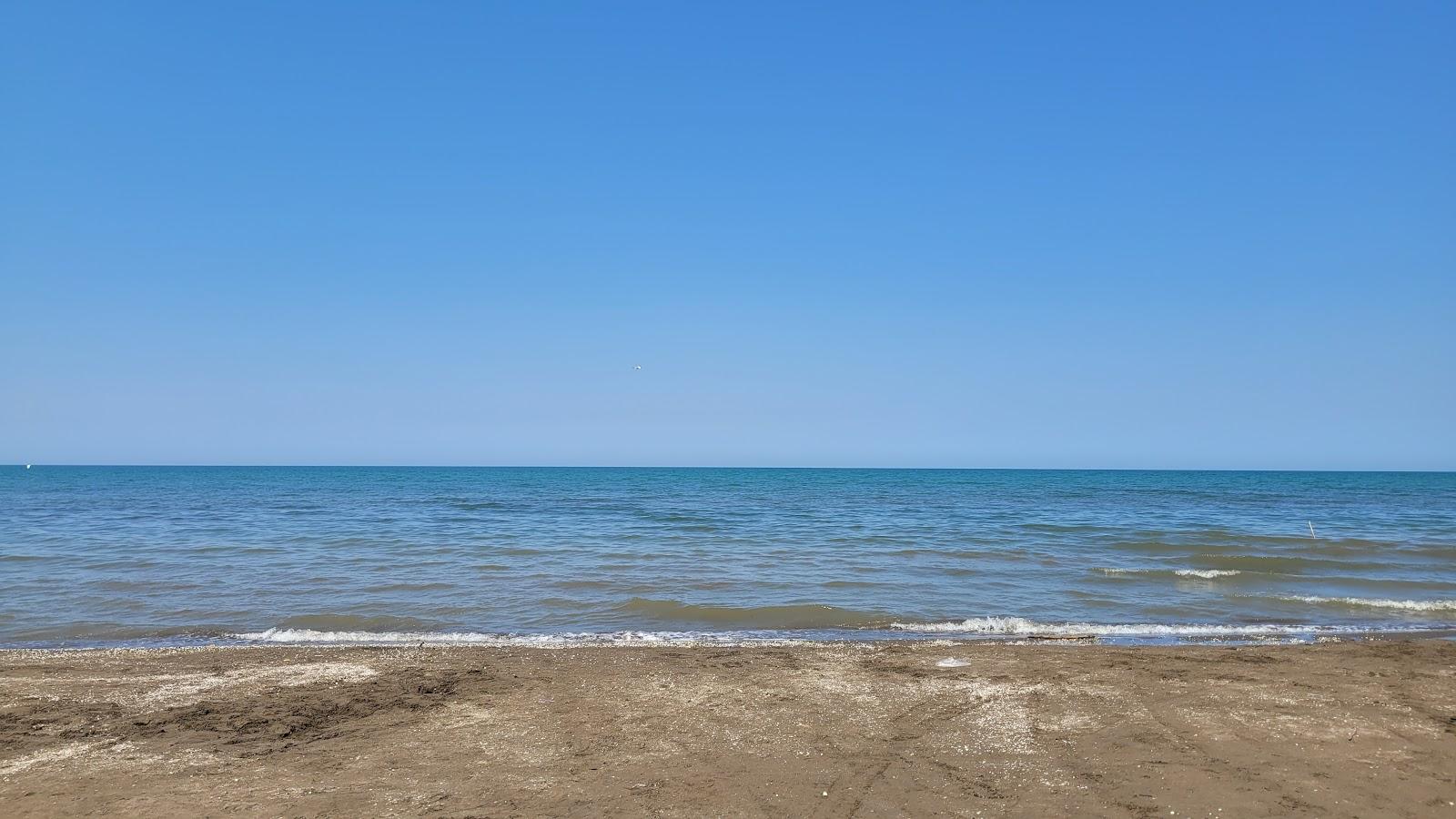 Sandee Rose Beach