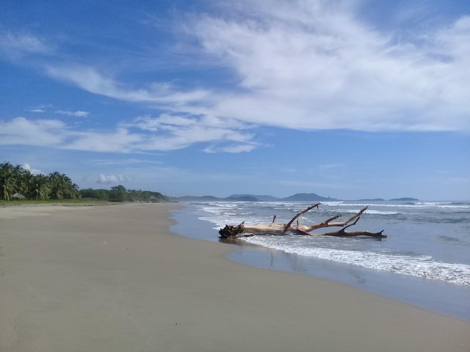 Sandee Playa Buenavista