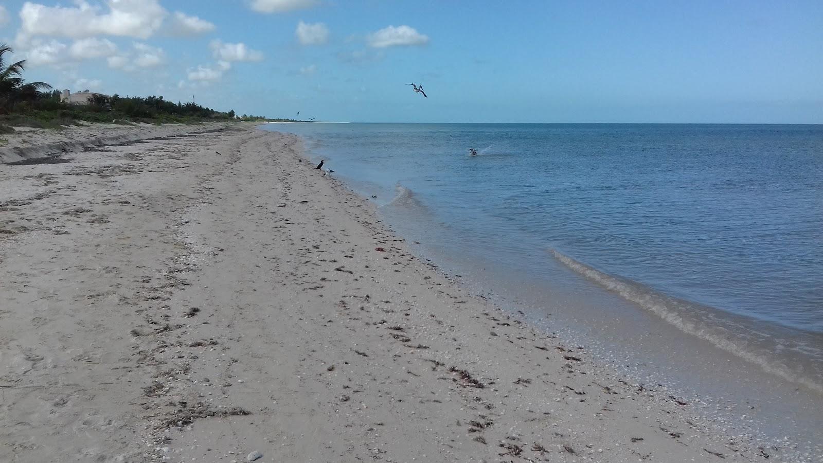 Sandee Las Palamas Beach Resort