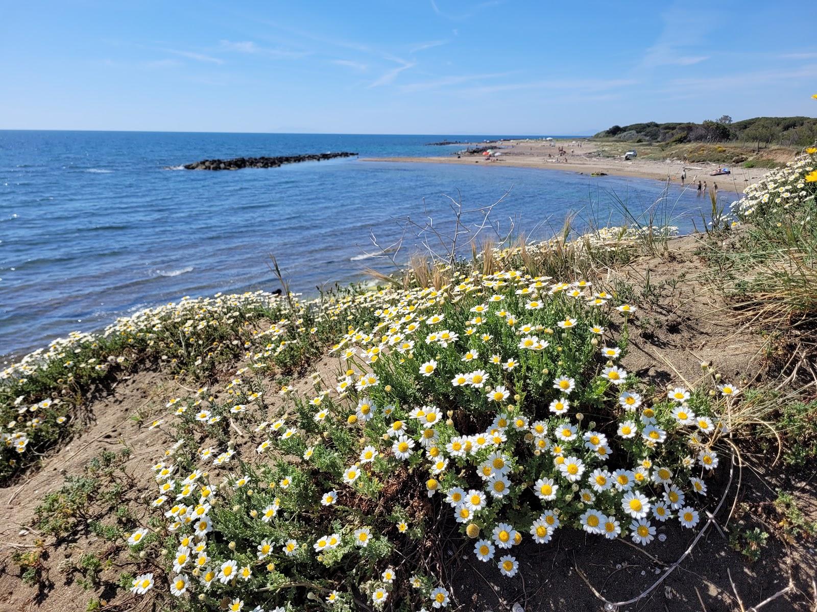 Sandee - Punta Delle Quaglie