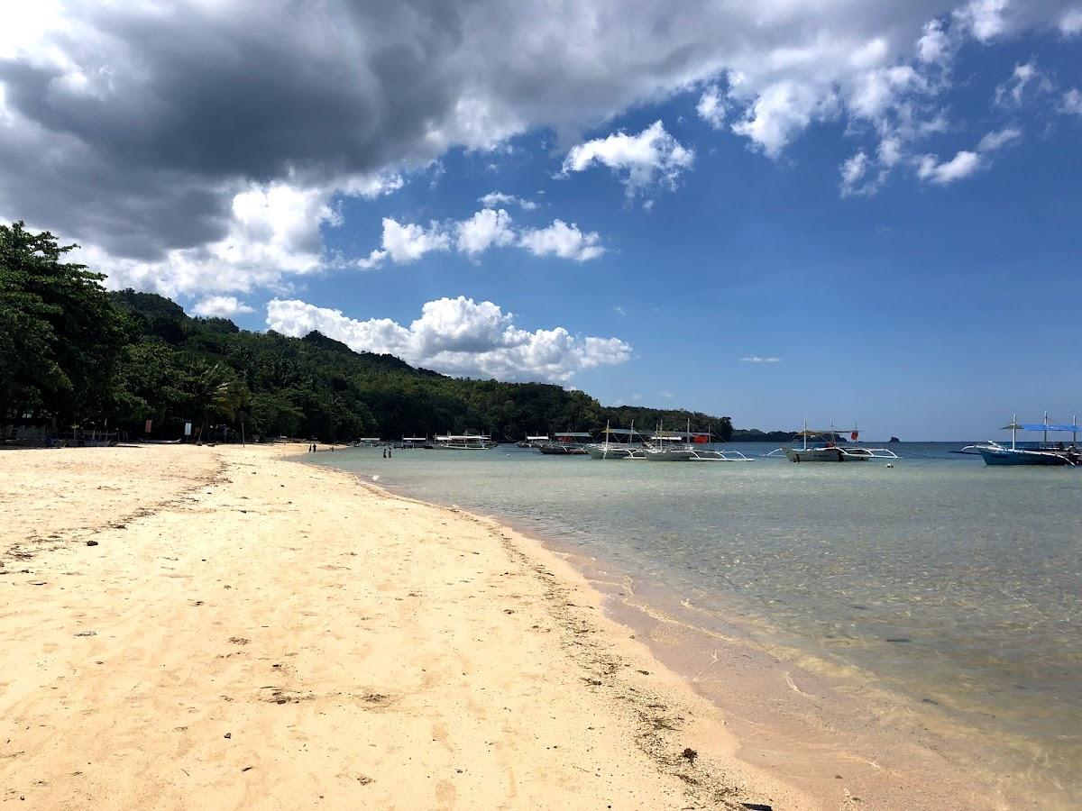 Sandee Tree House Beach Resort Photo