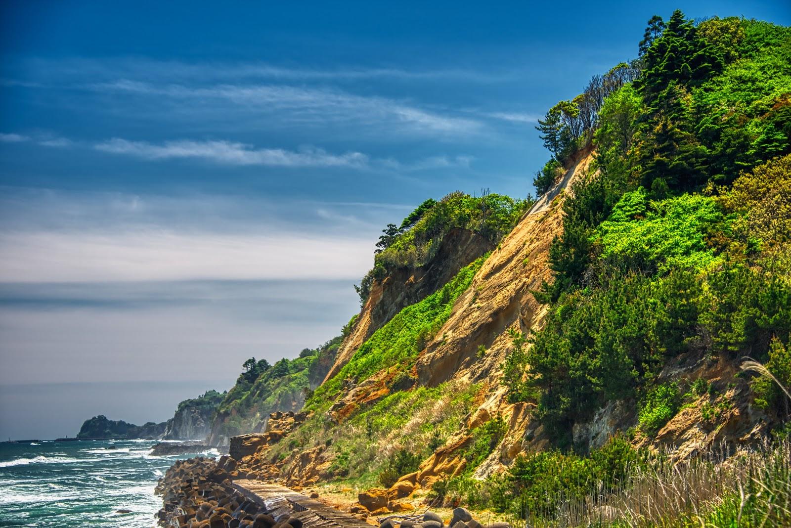 Sandee Yusuji Coast Photo