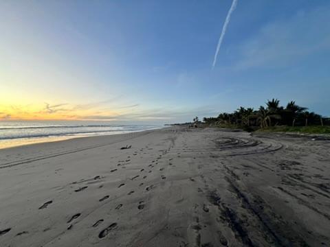 Sandee Playa Rosendo Niebla