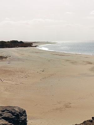 Sandee - Praia Ponta Preta