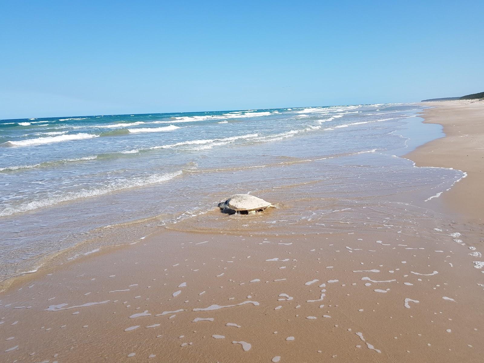 Sandee Playa Tesoro
