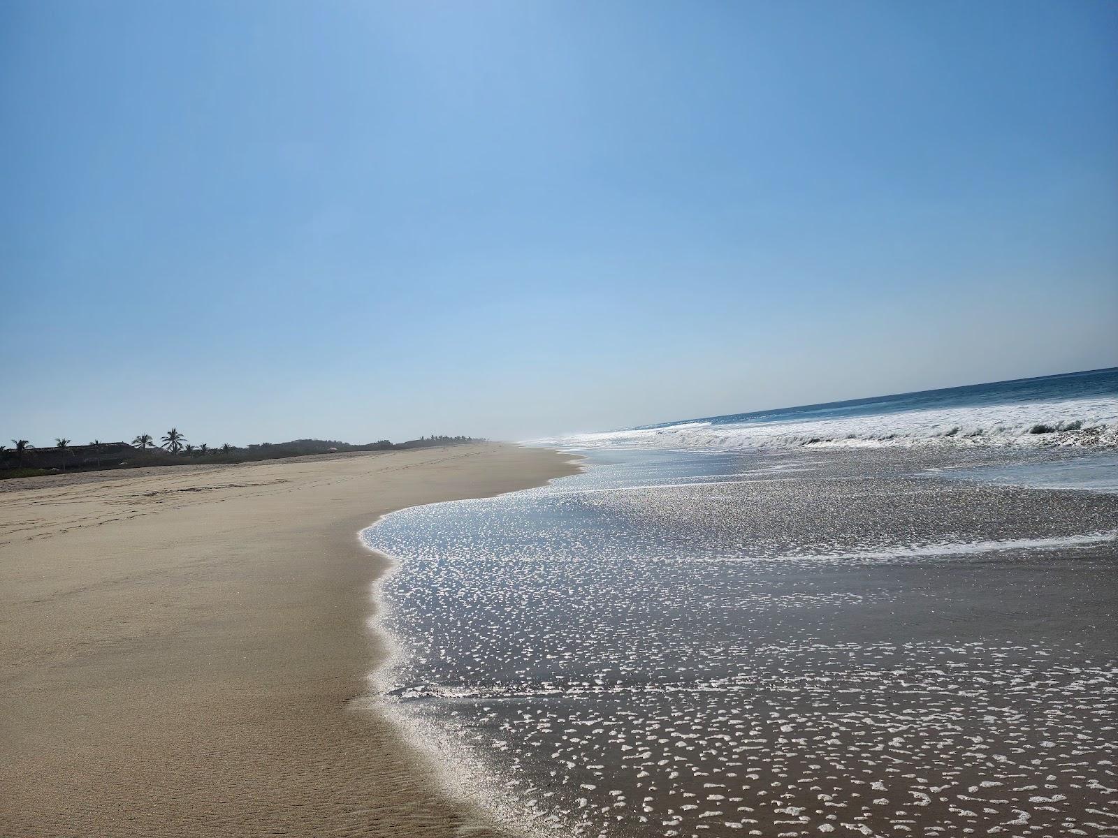 Sandee Punta Palapa